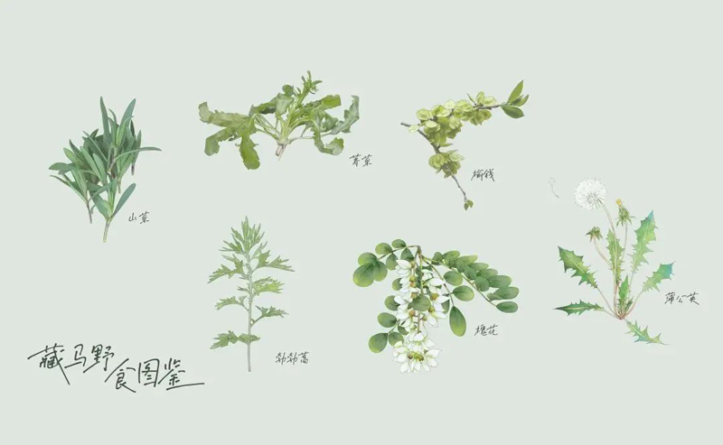 1648538888700877.jpg 微信图片_20220329151439.jpg