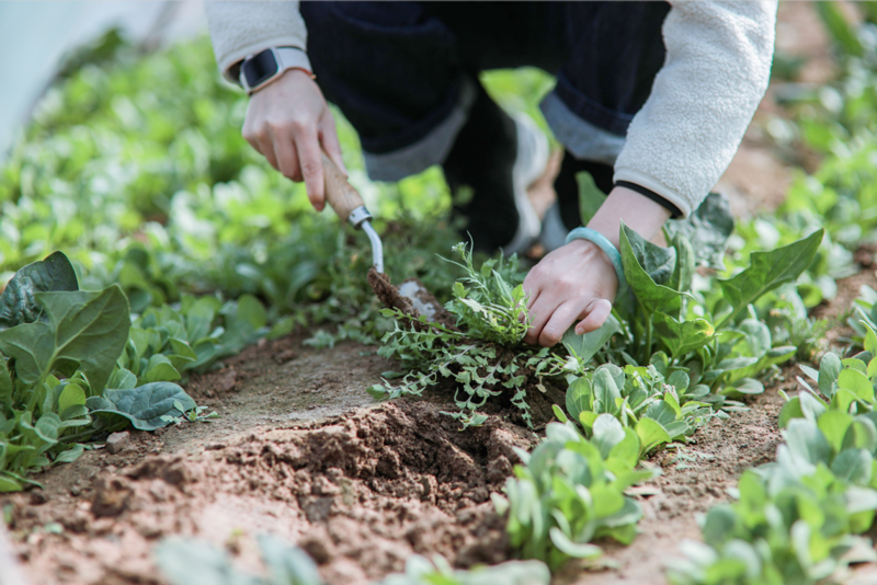 1648538899917308.jpg 微信图片_20220329151453.jpg