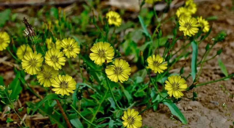 1648538924404527.jpg 微信图片_20220329151512.jpg