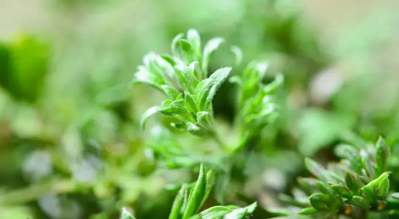 1648538944440082.jpg 微信图片_20220329151519.jpg