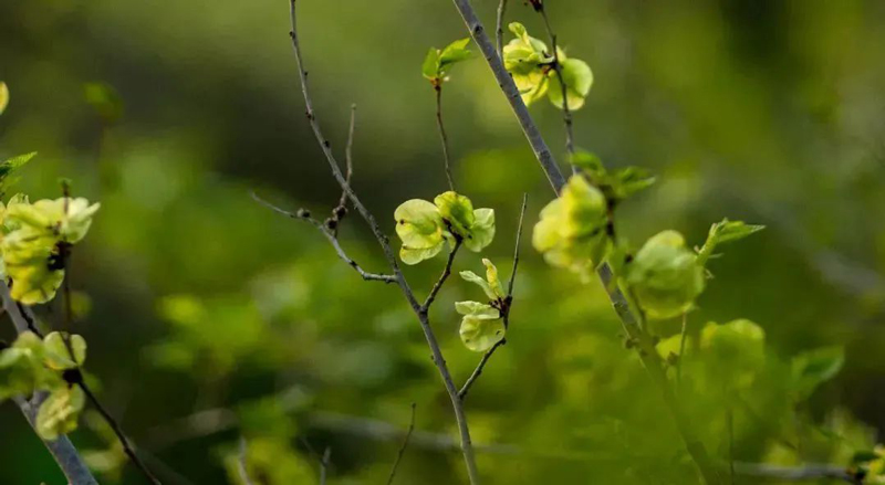 1648538985533966.jpg 微信图片_20220329151537.jpg